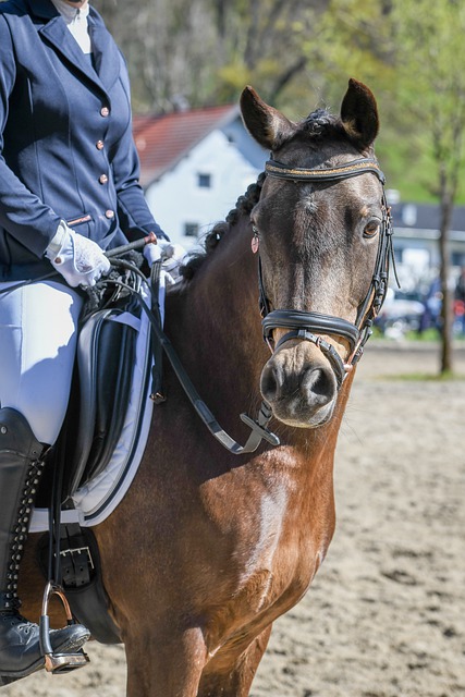 的时机不仅 的时机不仅