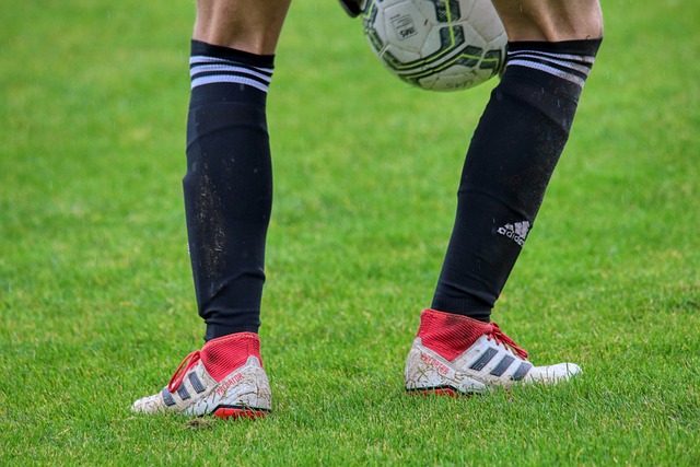 也让球迷们 也让球迷们