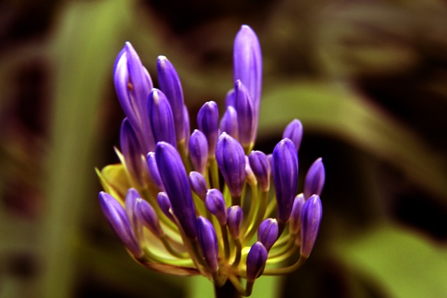 万美元协议 万美元协议