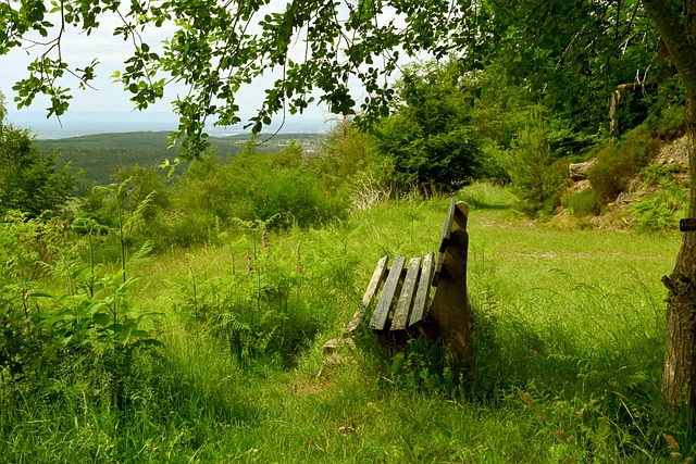 展现出独特 展现出独特