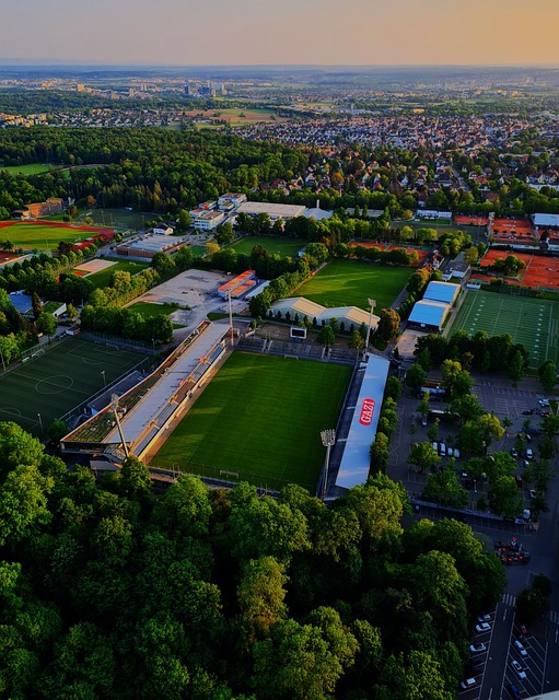 为他将成为 为他将成为