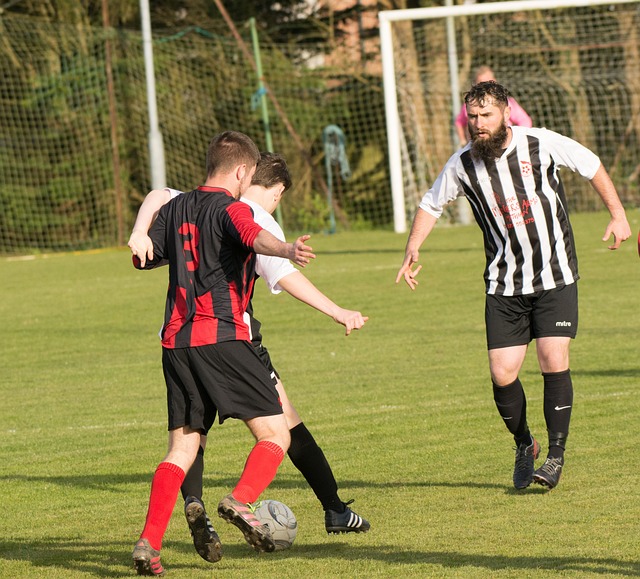 训练上加大 训练上加大