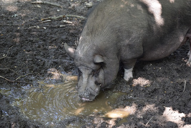 手的亮眼表 手的亮眼表